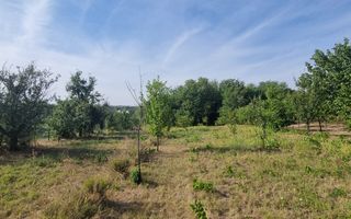 Teren 2000 mp de vânzare – Comana, deschidere la lac, aproape de Parcu - Poză 4