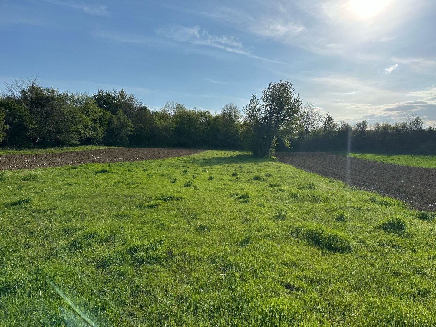 VÂNZARE TEREN CU POTENȚIAL MULTIPLU - Poză 3