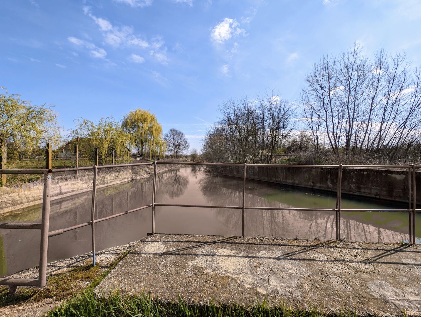 Teren intravilan Balint 22.500 mp - Poză 8