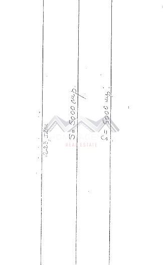 Teren 9700 mp Balotești – Ideal ansamblu rezidențial, acces rapid, utilități - Schiță 2
