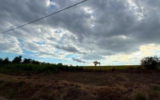 Teren intravilan de vanzare in Sorogari, comuna Aroneanu - 882 mp - Poză 3