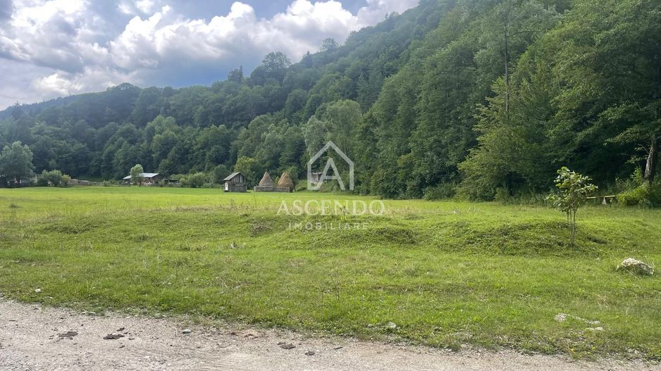 Teren pentru investiție turistică în Dâmbovicioara – Baranga | 4.500 mp | Front ~102 ml - Poză 2