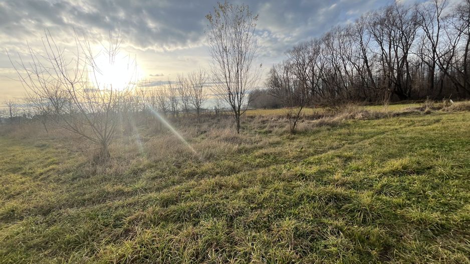 TEREN INTRAVILAN GENEROS | 72 ARI | GALANESTI - Poză 9