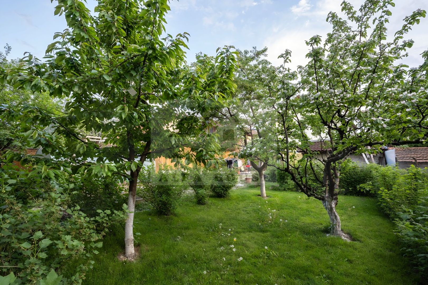 Casa individuala Sacele, 250 mp + 40 mp garaj + 556 mp curte - Poză 5