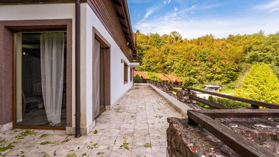 Domeniu în satul Căprioara - Poză 25