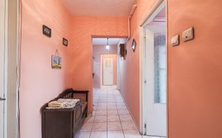 REZERVAT!Vedere directă spre faleza Mureșului, Micalaca 300 - Poză 5