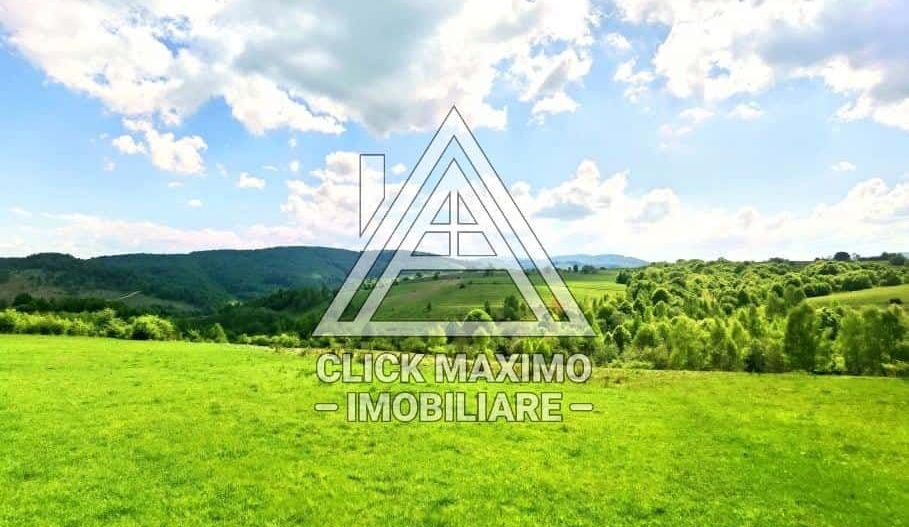 25.000 mp TEREN Ciucea – Calea Lata, jud. Cluj - Poză 6