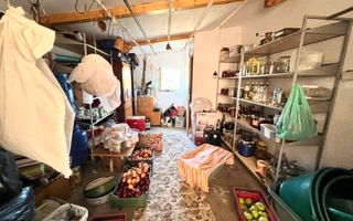 Ferma de vanzare cu 550MP utili si 27.500MP teren la asfalt - Poză 32