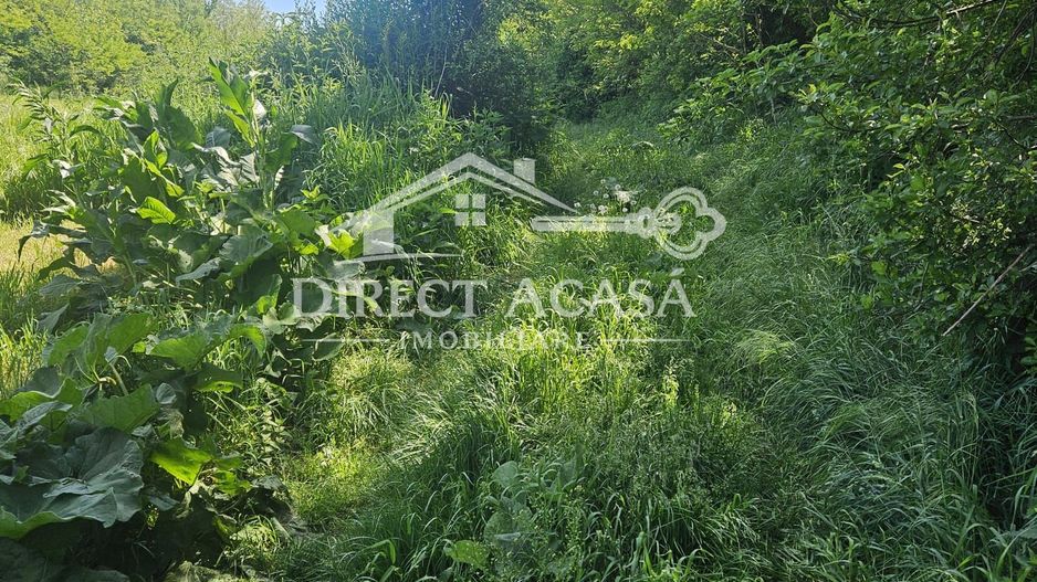 Teren Moresti intravilan - 1655 mp - Poză 3