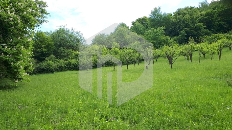 Teren de vanzare - Extravilan - 4288mp - Gusterita - 0% Comision - Poză 3