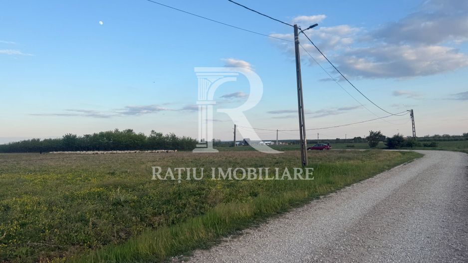 Teren extravilan | Păușa | Bihor - Poză 4