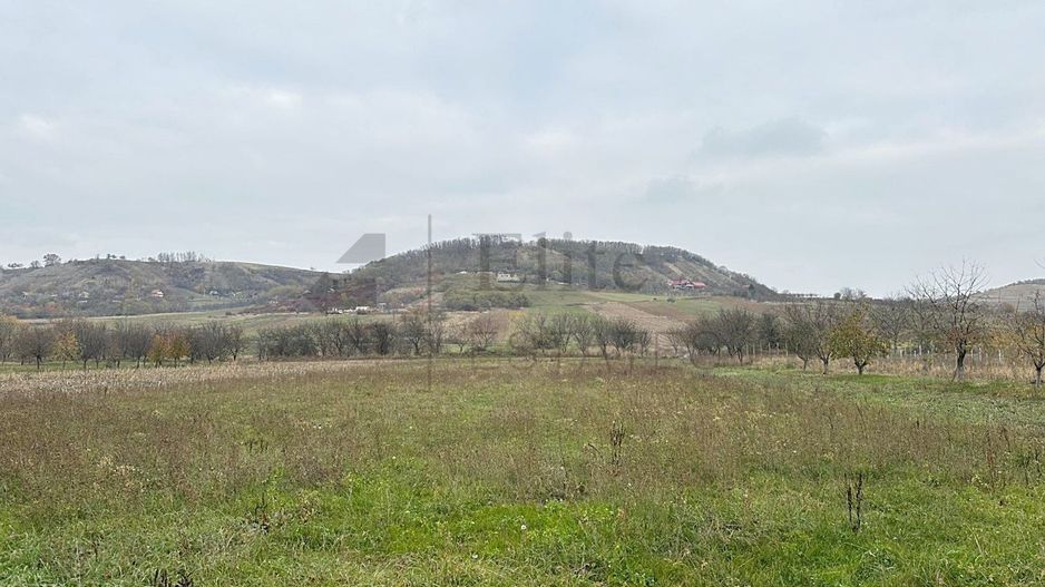 Casa cu 3 Hale si teren 8000 mp in Ulileacu de Cris, Bihor - Poză 13