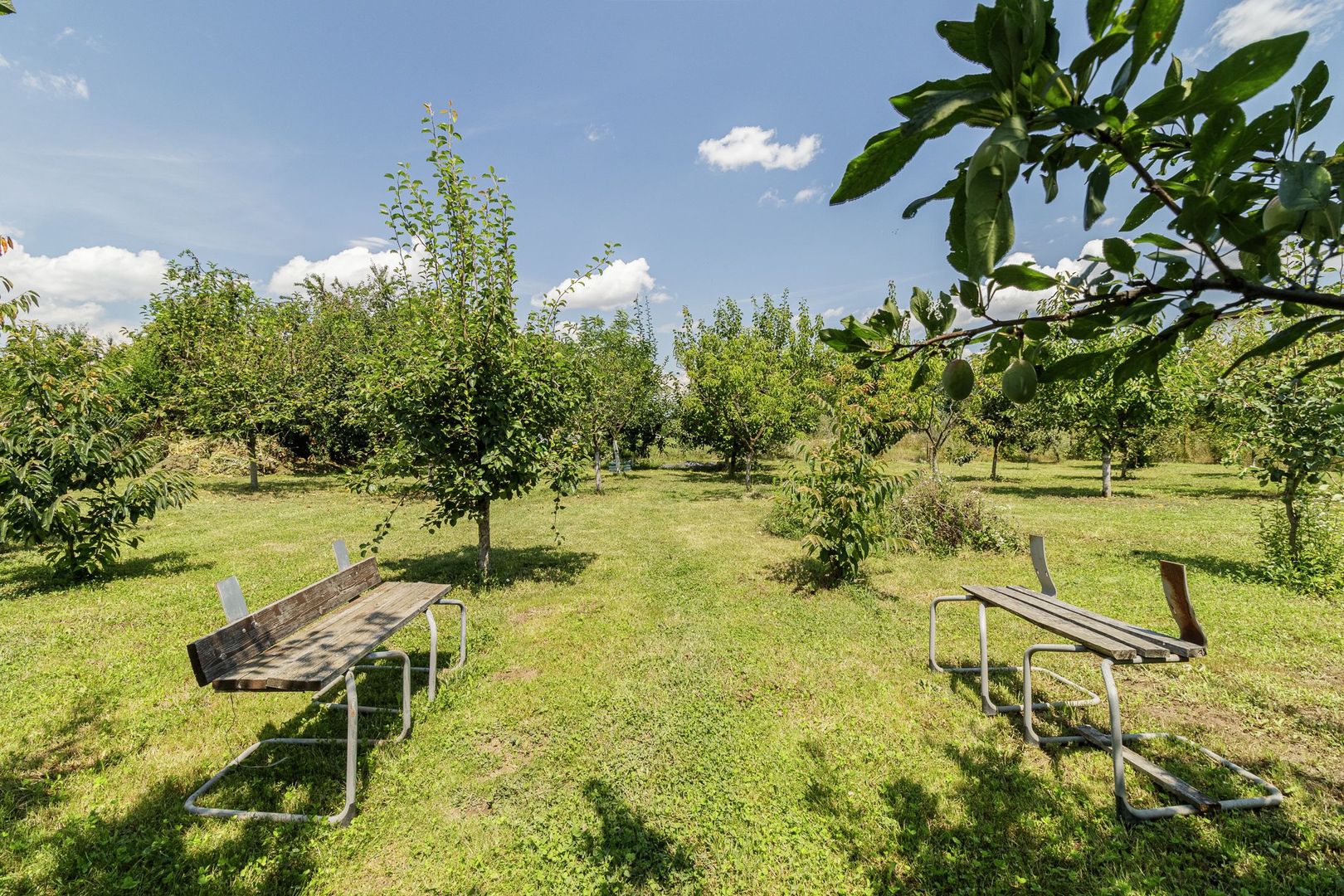 Casă de vânzare Tâncăbești cu grădină, aproape de lac - Poză 28