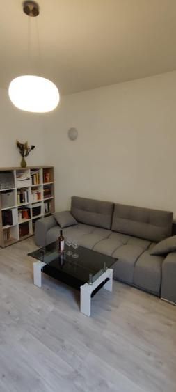 Vilă boutique / 2 apartamente independente / Mitropolie -Parcul Carol - Poză 8