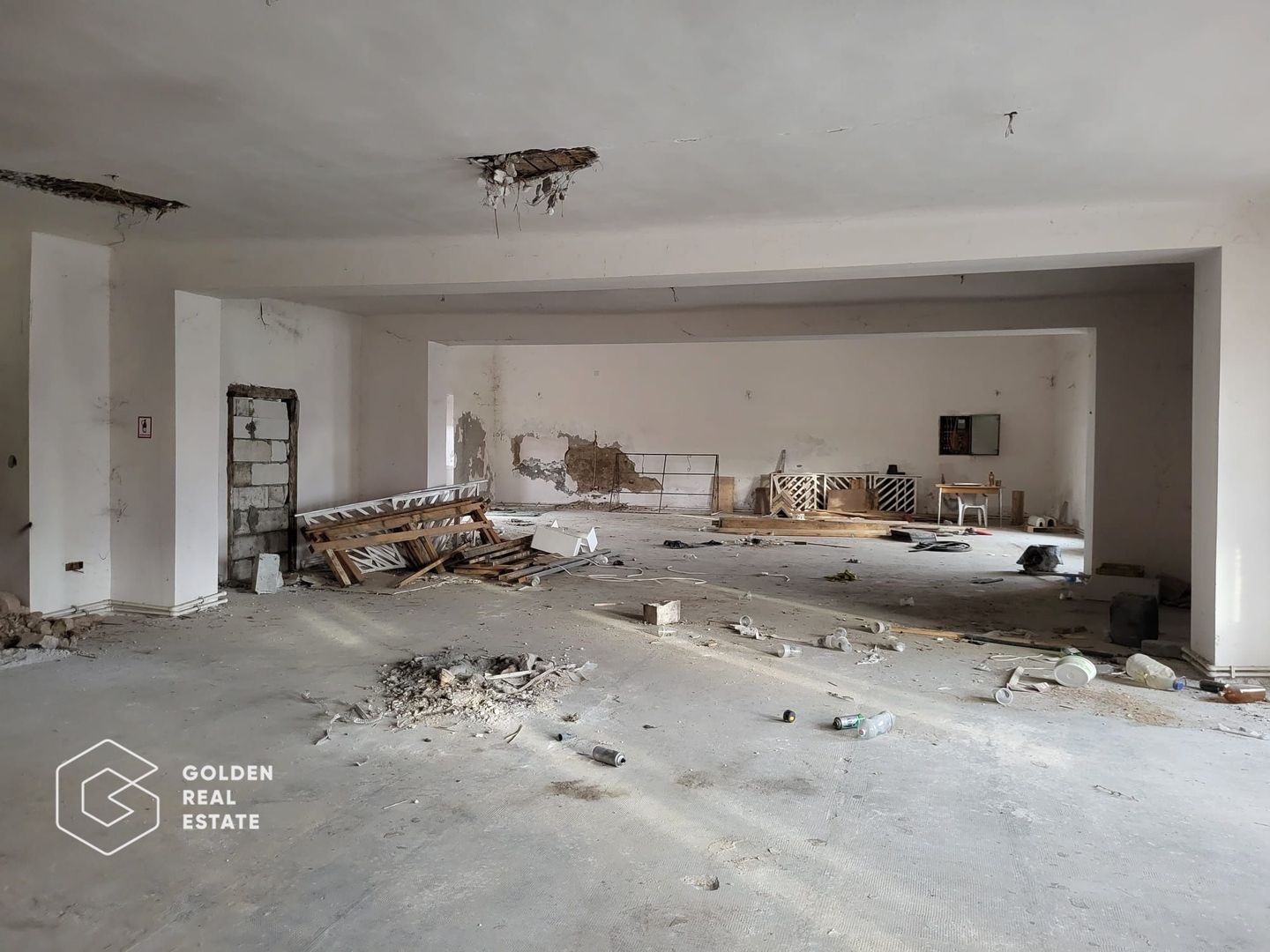 Proprietate tip conac, teren 4468 mp, oras Lipova - Poză 6