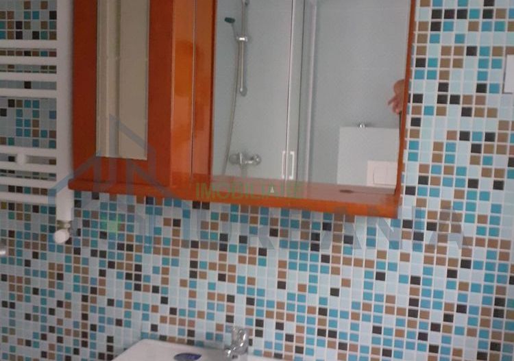 Apartament de închiriat, 1 cameră, cu terasă, Lunca Cetățuii - Poză 5