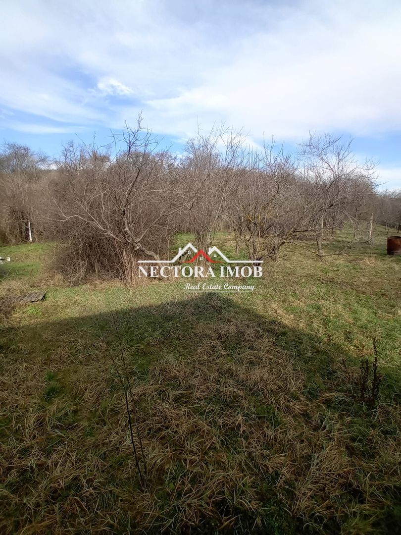 NECTORA IMOB-Teren Intravilan Zona Facliei, Teren Plat,460 mp,F:29 ml - Poză 3