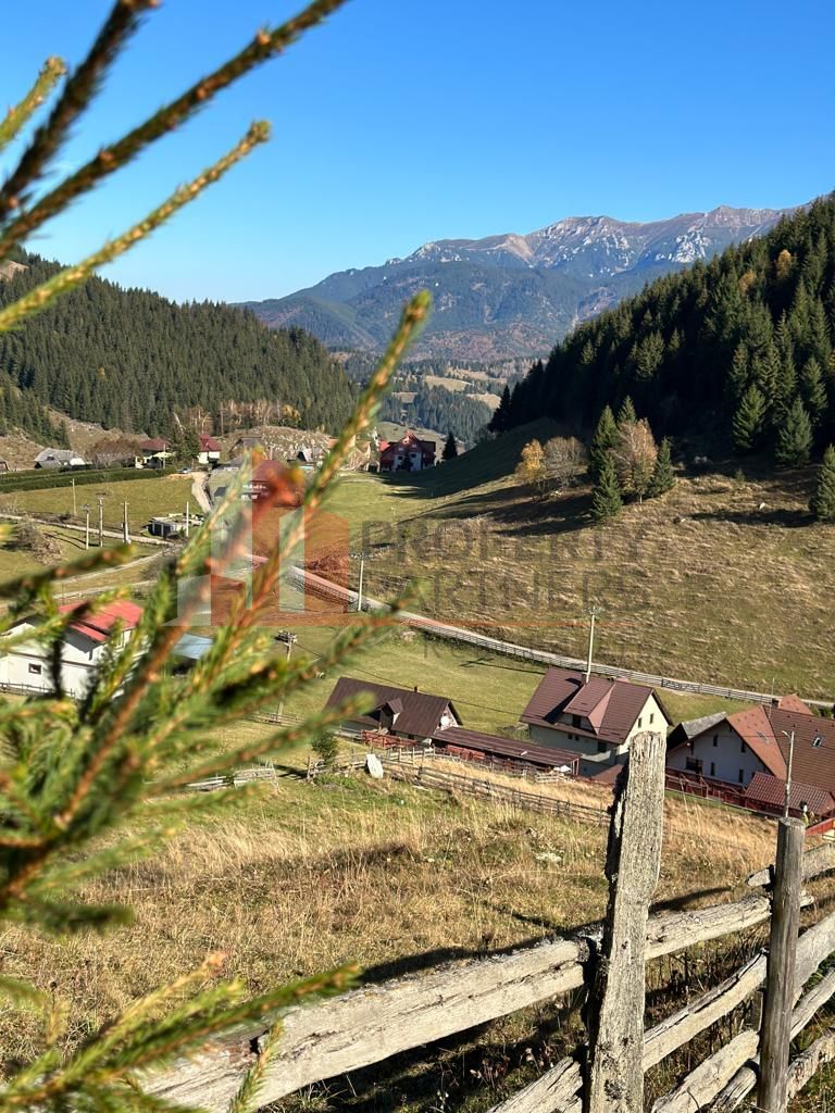 Teren Fundatica intravilan 4500 mp - Poză 7