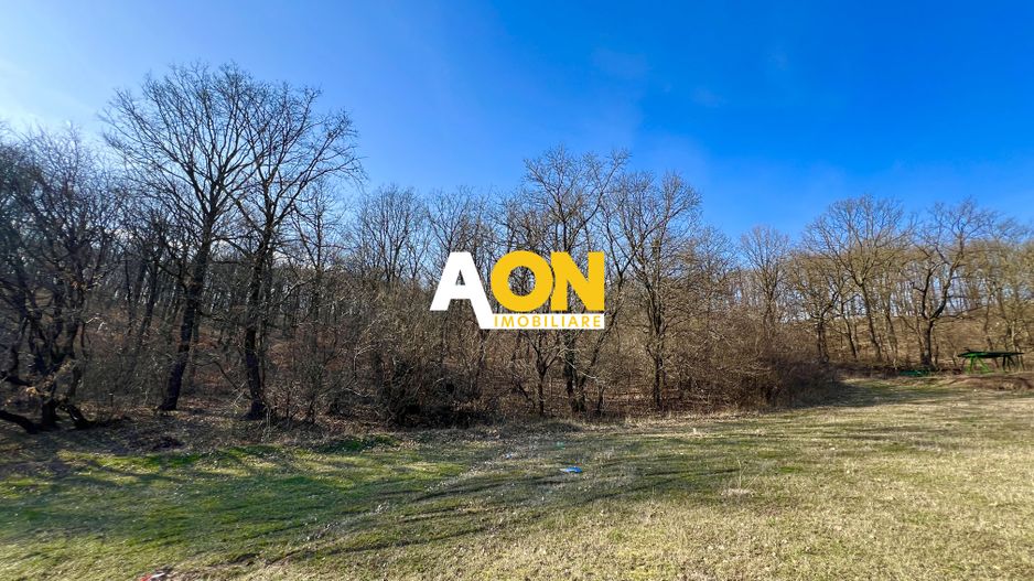 Teren intravilan pretabil cabana/pensiune, aproape de padure, 2100MP - Poză 2