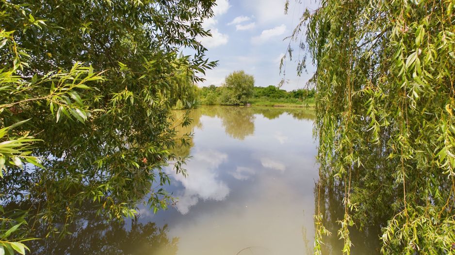 Moară istorică cu teren și luciu de apă în Aldești - Poză 6