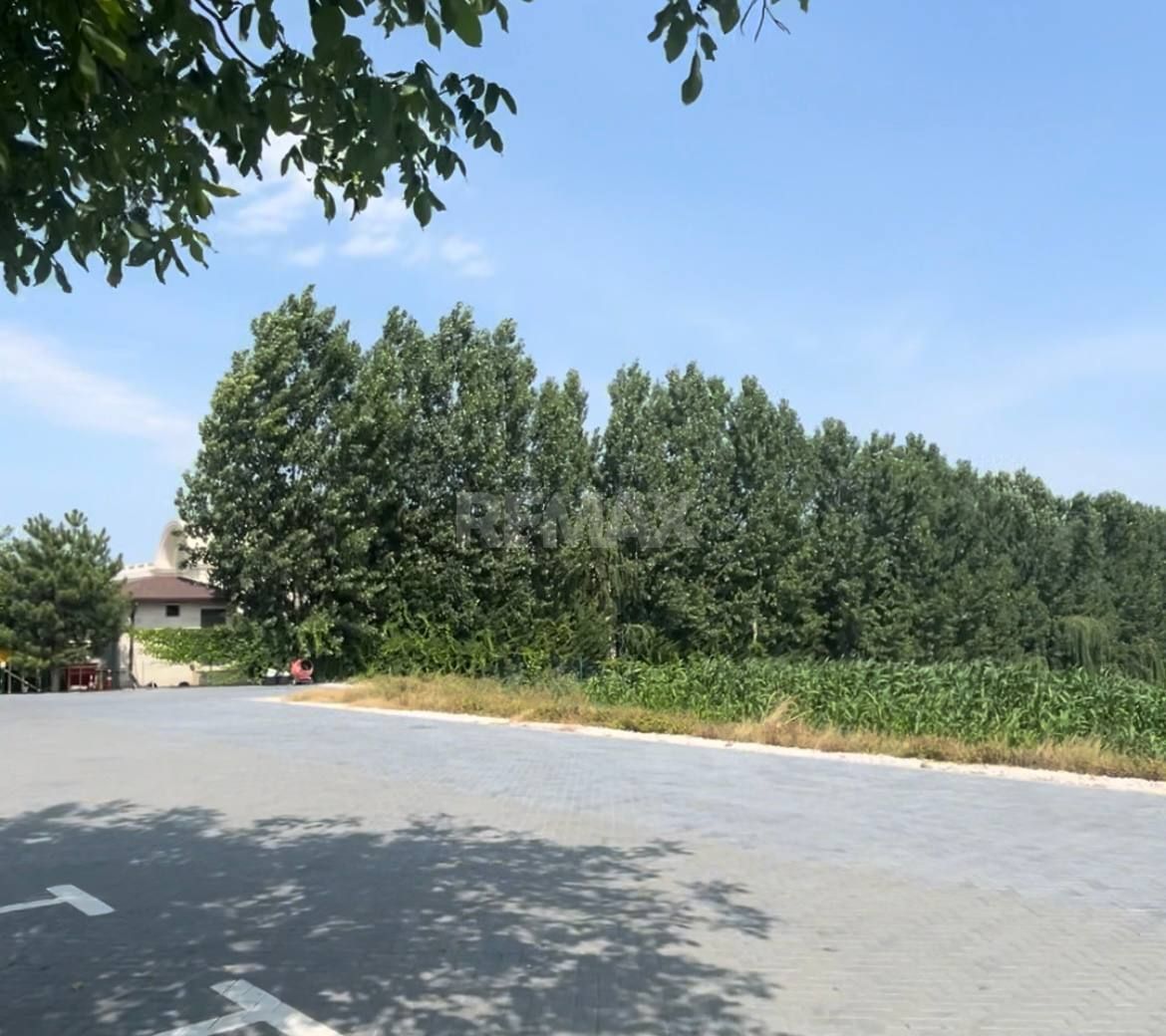 Teren de vânzare, 53 ari, prima linie - Poză 5