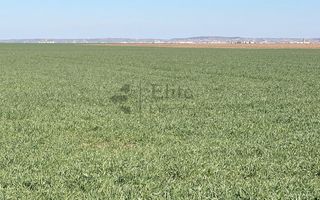 Teren 20.141 mp de vanzare in zona Aeroportului Oradea - Poză 2