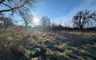 Vanzare teren 800 mp,  Faget,  PUZ, HCL - Poză 1