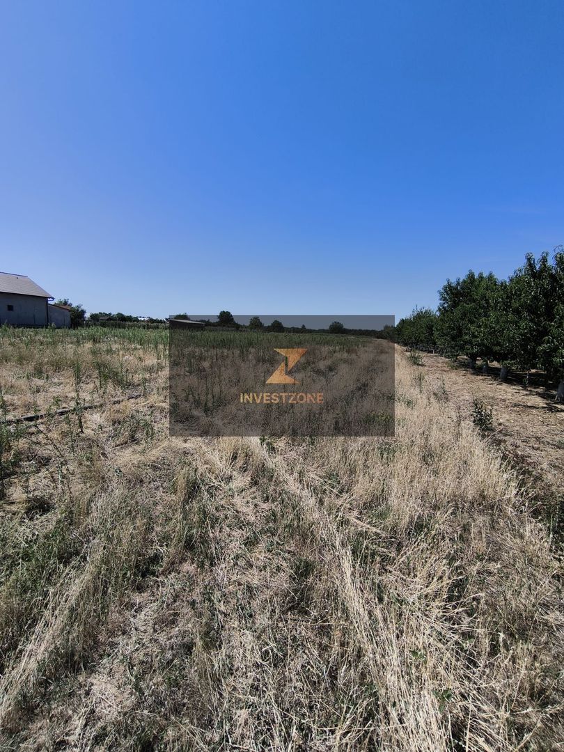 Teren intravilan Biharia 11058 mp - Poză 2