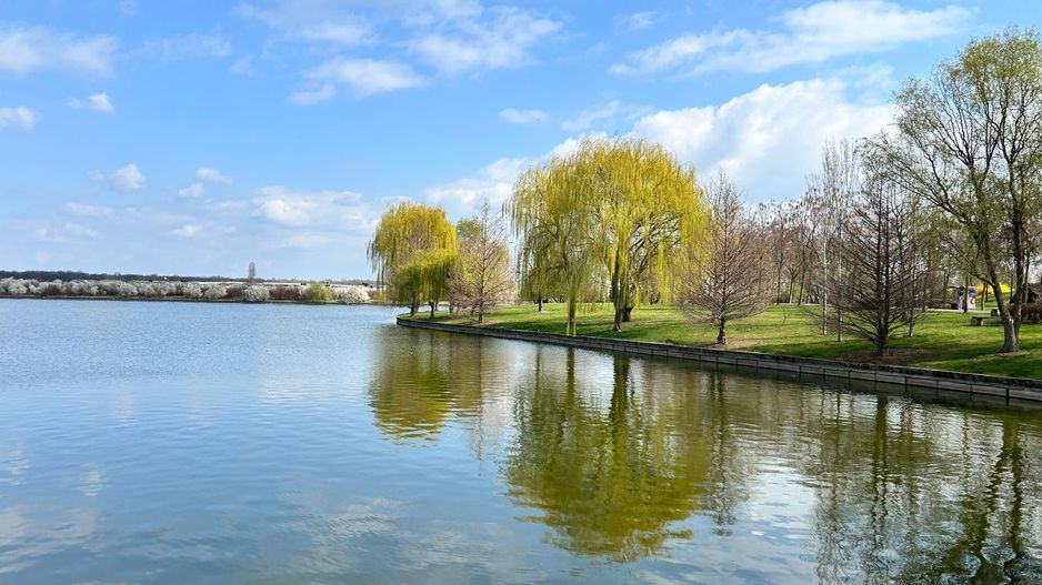 NOU Apartament 3 camere vedere lac si pădure | Chitila - Poză 22