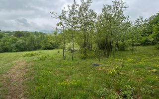 Teren Extravilan 4.572mp | Zonă liniștită | Sadu - Poză 7