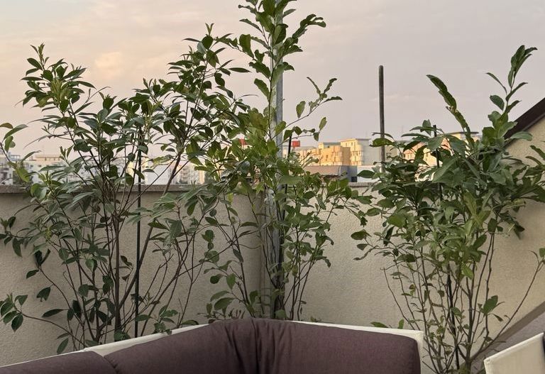 APARTAMENT  ELEGANT CU TERASA ZONA TIMPURI NOI - Poză 3