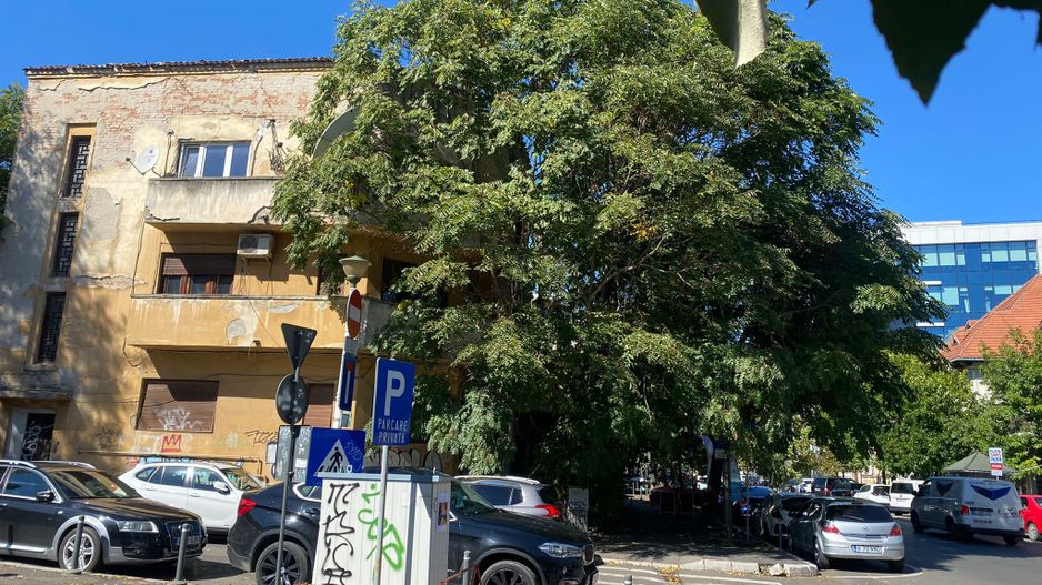 Teren intravilan 476 mp cu Autorizatie de Construire str. Polona 75 - Poză 12