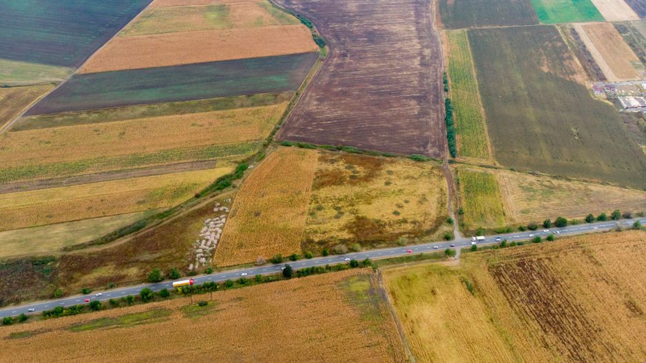 Teren de 19798mp în Zimandu Nou - Poză 6