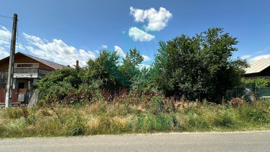 Teren 16534 mp pentru dezvoltare rezidențială, Siliștea Snagovului - Poză 5