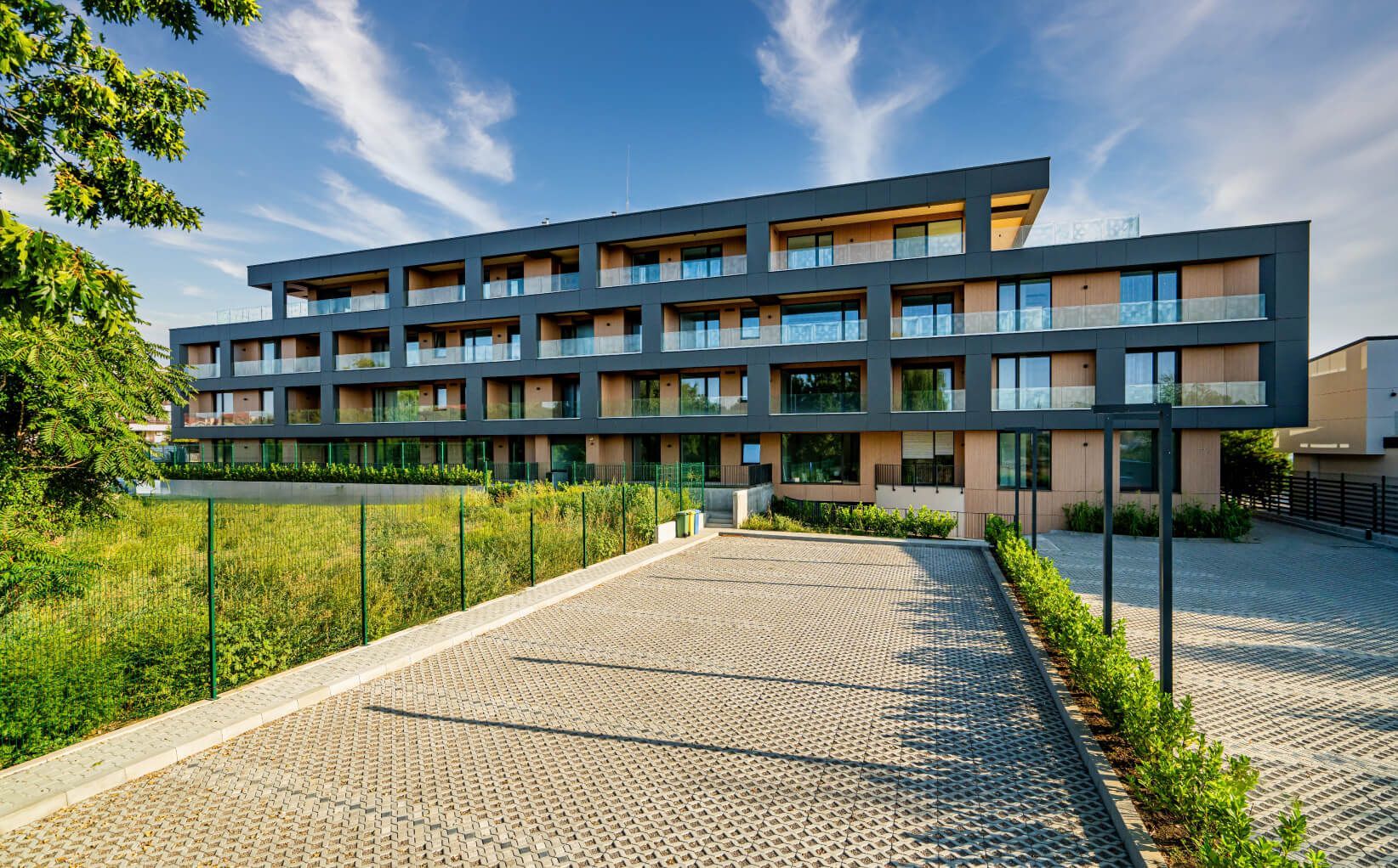 HEBERGER PIPERA EINS - Poză 4