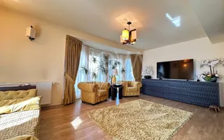 Casa individuala de vanzare - Sura Mare - Poză 23