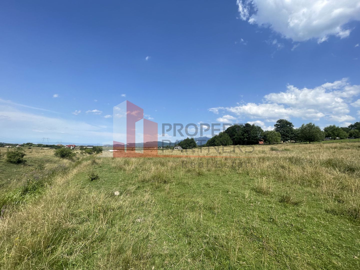 Teren de vanzare in  Tohanu Nou-Sohodol 6200 mp - Poză 7