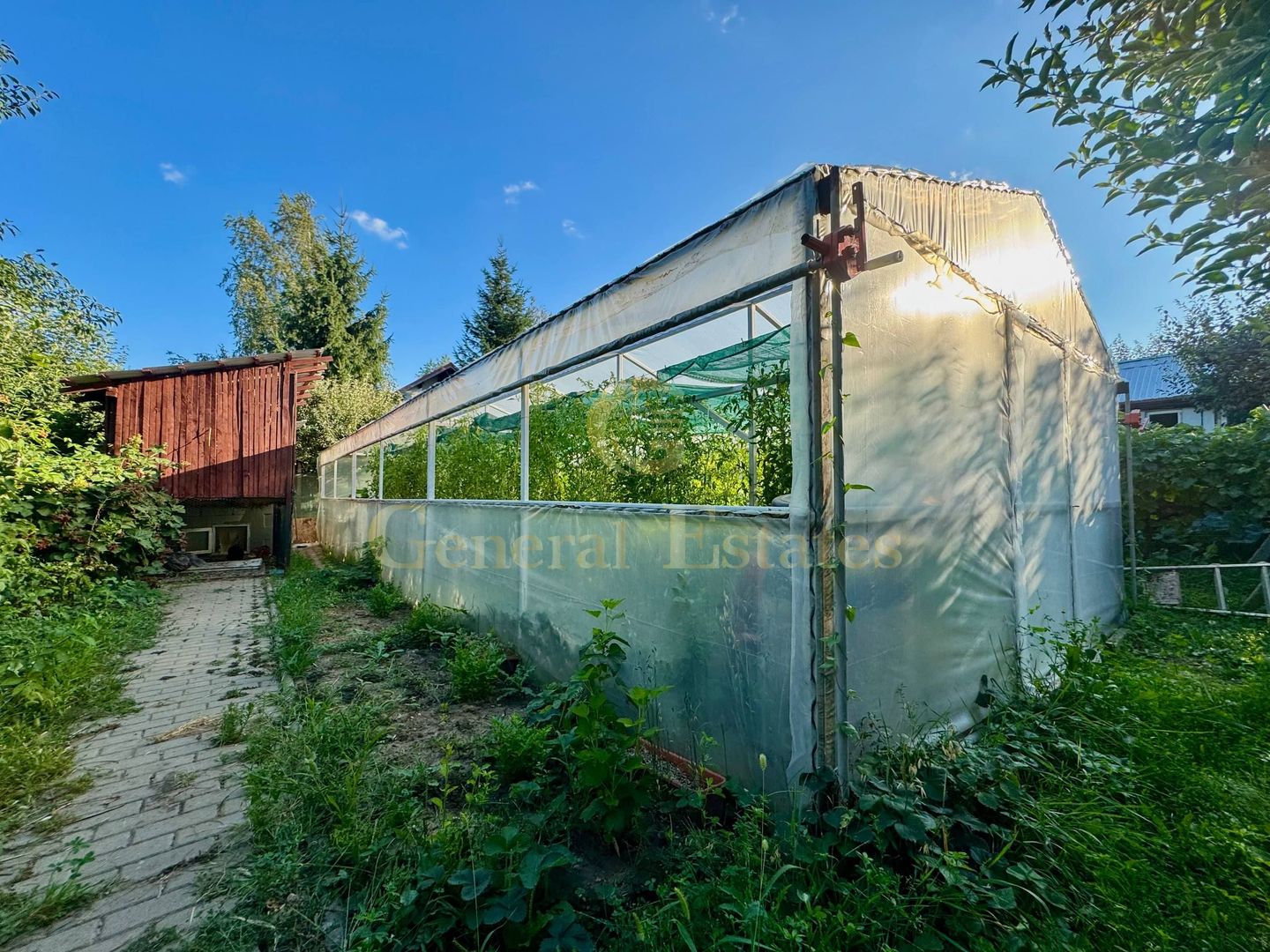 Vânzare Casă  D+P+E - 230 m.p. - Bucium - Poză 19