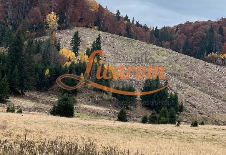 Agentia Licarom propune la vanzare teren 2,83 ha Poiana  Brasov - Poză 1