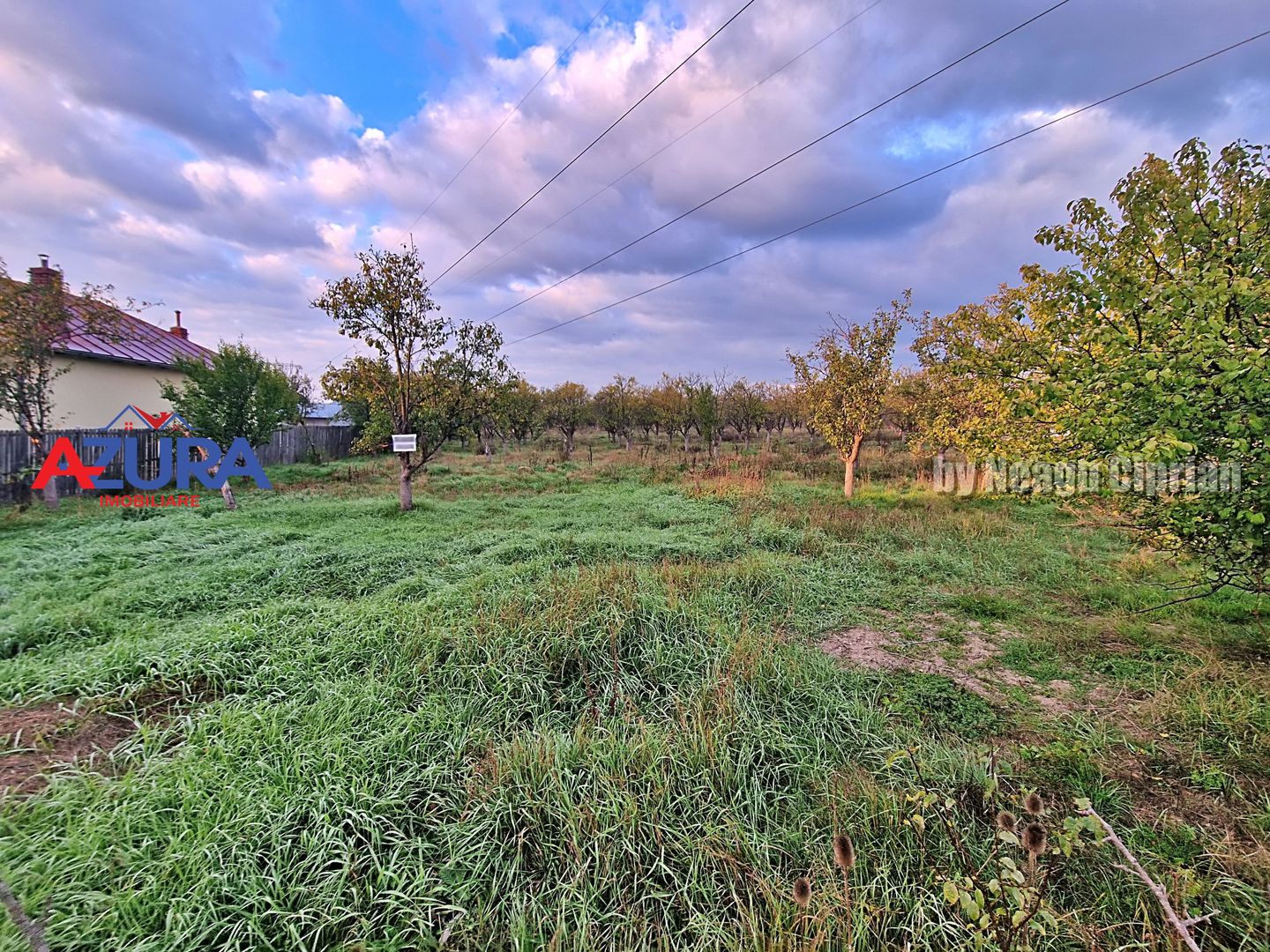 AZURA Imobiliare - Teren Bascov str Paisesti Deal - Poză 4