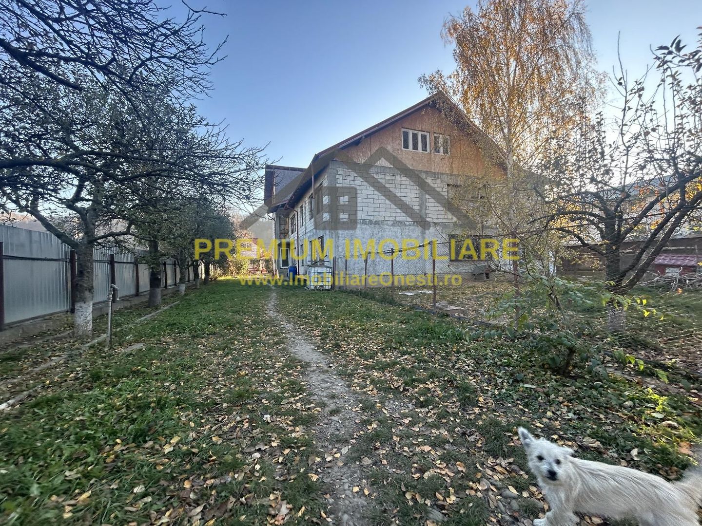 Proprietate multifuncțională cu potențial pentru investiții - Poză 5