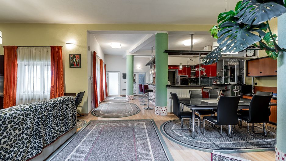Spațiu comercial,  hala, si un penthouse în centrul Aradului Nou - Poză 1