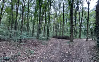 192842 mp teren in Padurea Baneasa proiect exclusivist - Poză 13