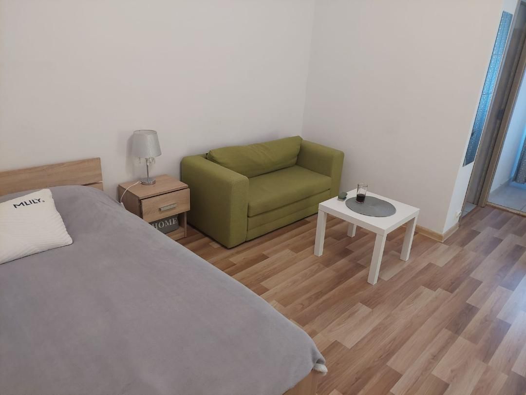 Garsoniera zona Costin Georgian - Lucretiu Patrascanu - Poză 6