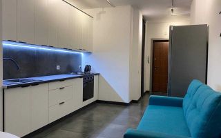 Se dă în chirie un apartament confortabil cu o cameră - Poză 1