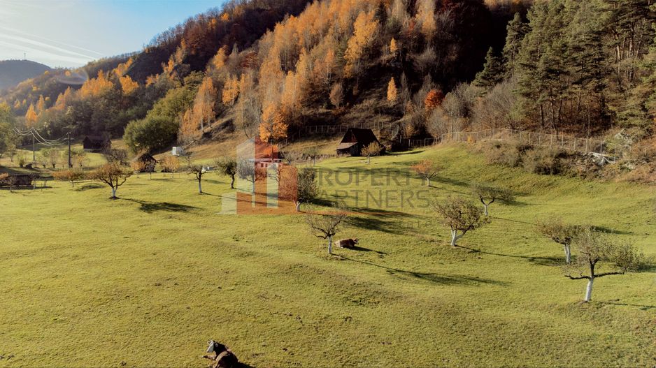 Teren 15.941 mp Moieciu | parcelabil | aproape de Castelul Bran - Poză 6