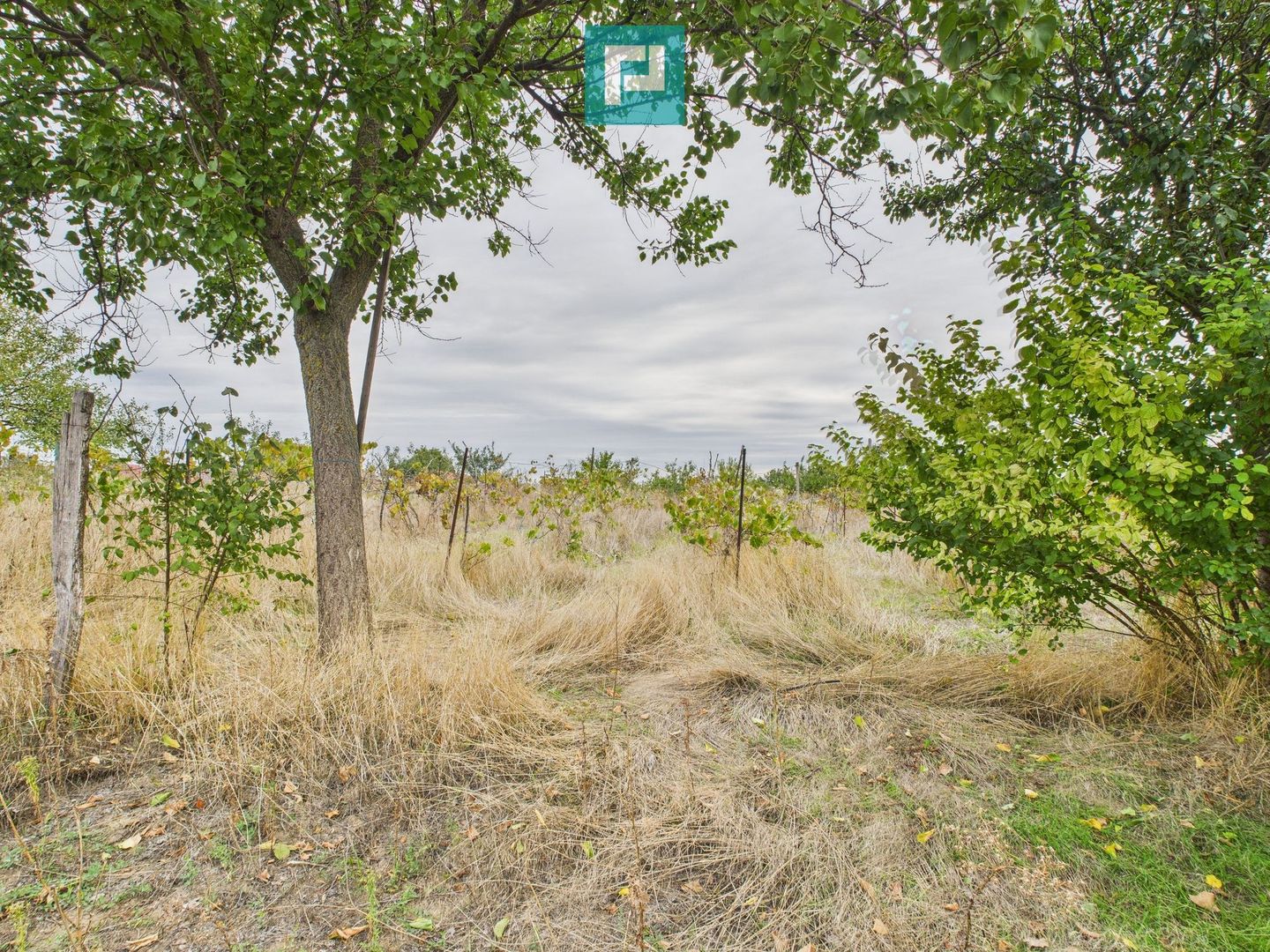 Clădire pentru investiții în Semlac - Poză 25