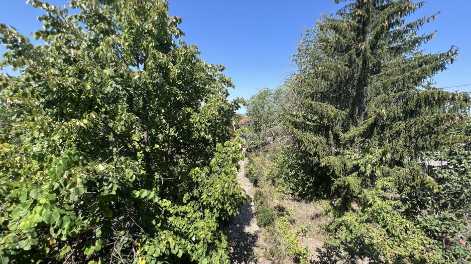 Vila superba cu teren Crevedia - Darza - Poză 32