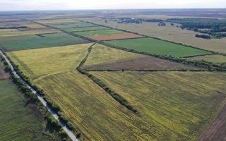 TEREN IDEAL PENTRU INVESTITII GIARMATA-PISCHIA - Poză 3