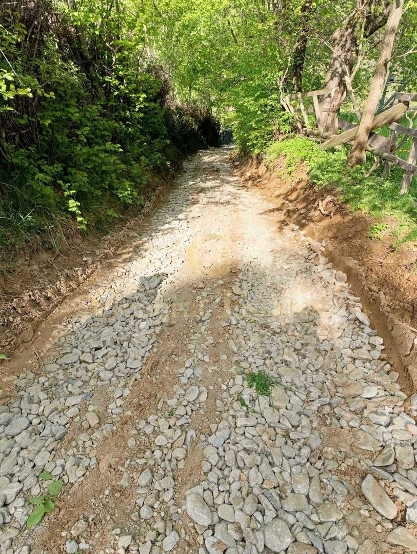 Teren intravilan cu toate utilitatile in Bran Poarta - Poză 4